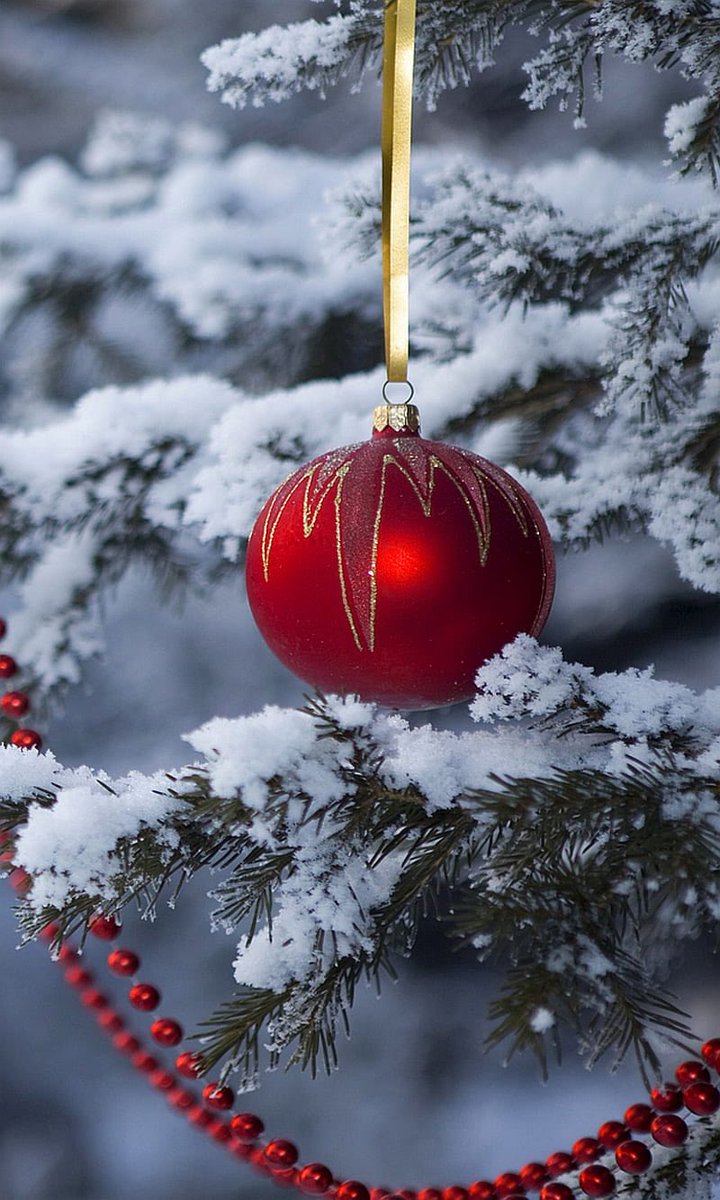 Good morning X-Friends…🌹☕️
Have a happy Monday and a beautiful new week 🎄☃️❄️🌹❄️🎅🏻❣️❣️❣️

#MondayMorning 🌹 #CoffeeTime ☕️ #HappyNewWeek ☃️ #HAPPYHOLIDAYS  #ChristmasTime 🎄 #PeaceAndLove 🕊️