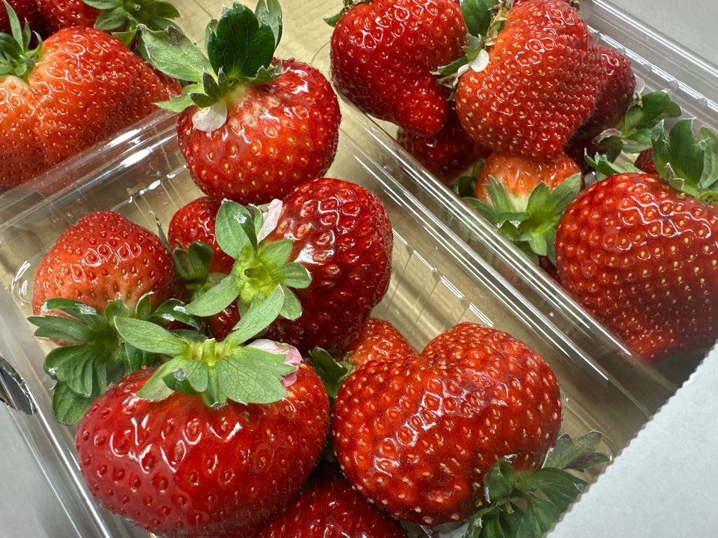 やすずはいぱぁ【サブ】 tweet media