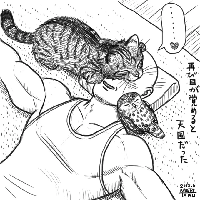 猫フク お昼寝 最後のコマ 