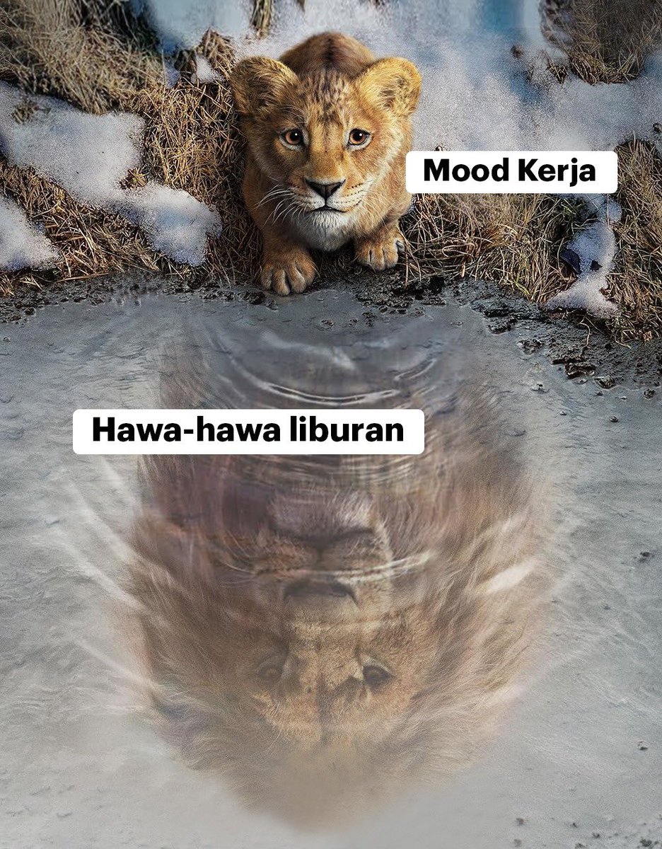 handokotjung's tweet photo. Current situation (Mufasa style). https://t.co/5ivE1TF90v