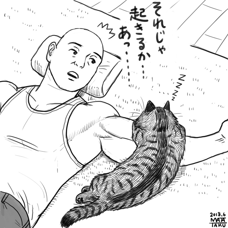 猫フク お昼寝 をpixivに投稿しました😄🐱🦉

全5コマ
最後のコマはリプの方へ

https://t.co/rVSjR9mnp6 