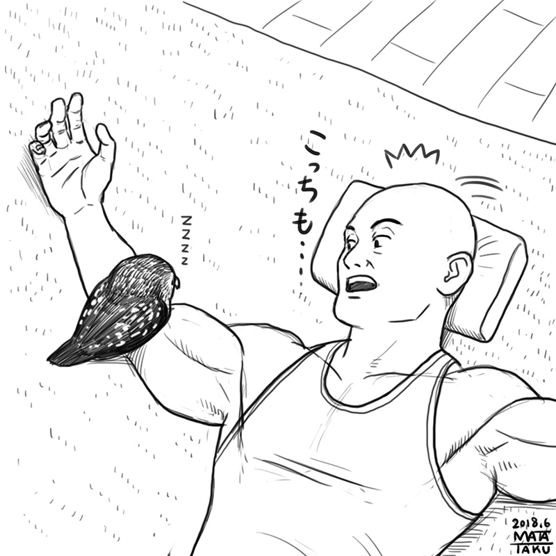 猫フク お昼寝 をpixivに投稿しました😄🐱🦉

全5コマ
最後のコマはリプの方へ

https://t.co/rVSjR9mnp6 