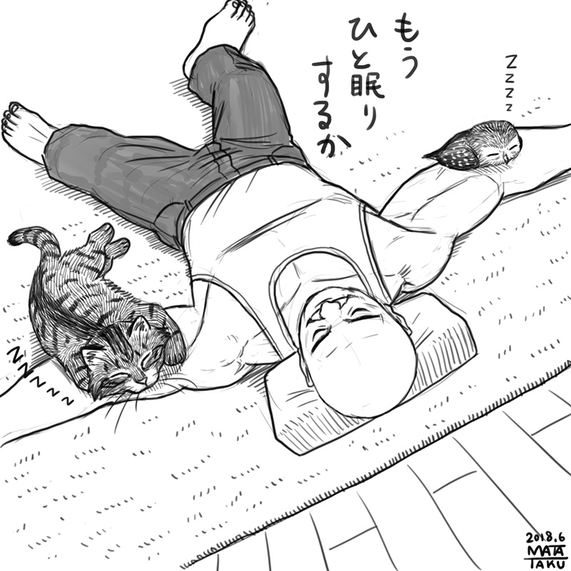 猫フク お昼寝 をpixivに投稿しました😄🐱🦉

全5コマ
最後のコマはリプの方へ

https://t.co/rVSjR9mnp6 