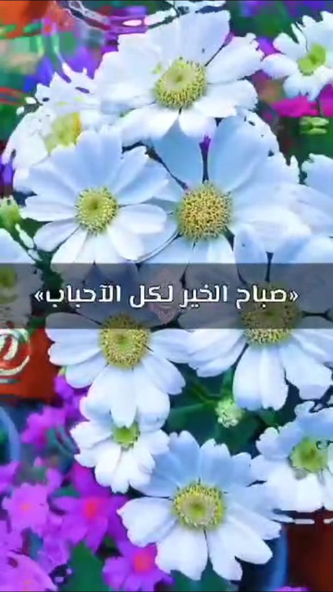 مكتب الاستقدام القوى العاملة في الهند (@arab_wings40319) on Twitter photo 