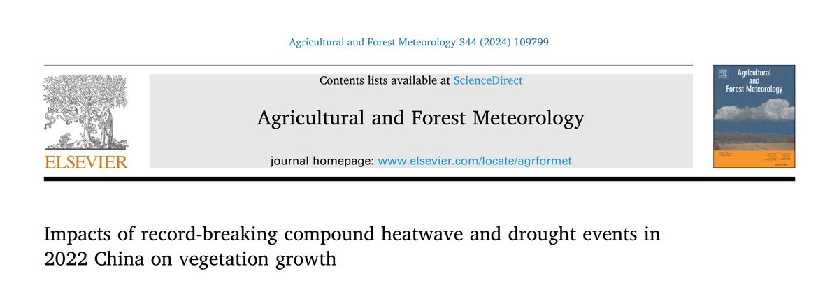 Wenfang Xu tweet media