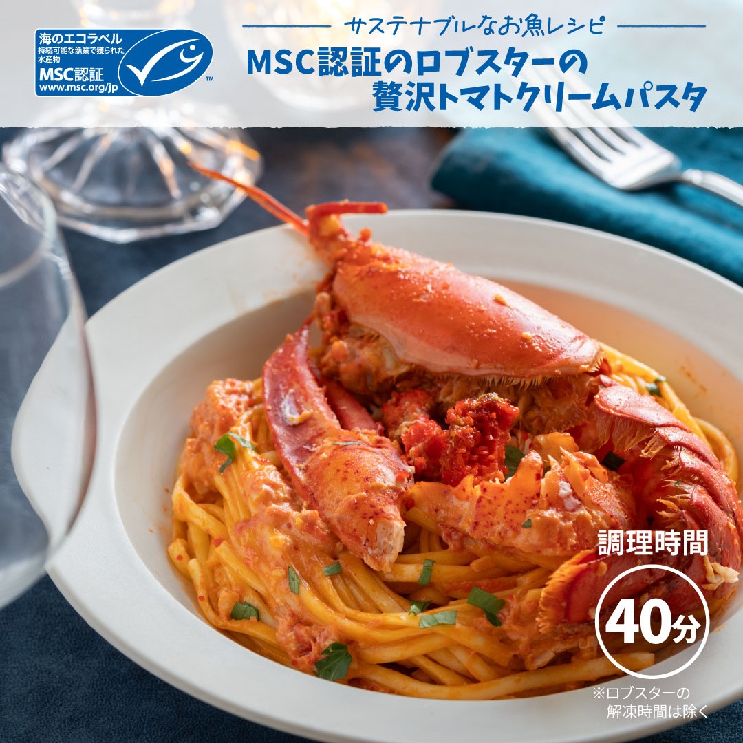 MSCジャパン on X: 