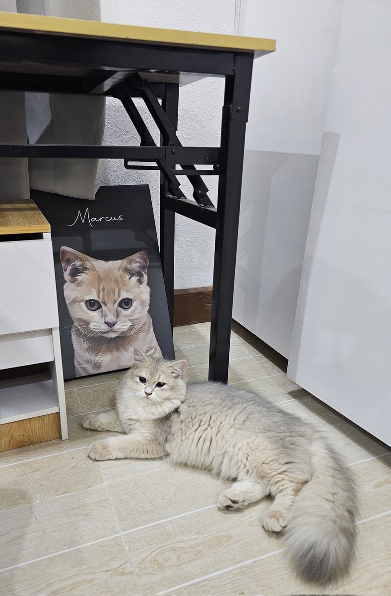 icscarpio's tweet photo. Marcus and Marga 😺😾 https://t.co/ry8j9sic2b