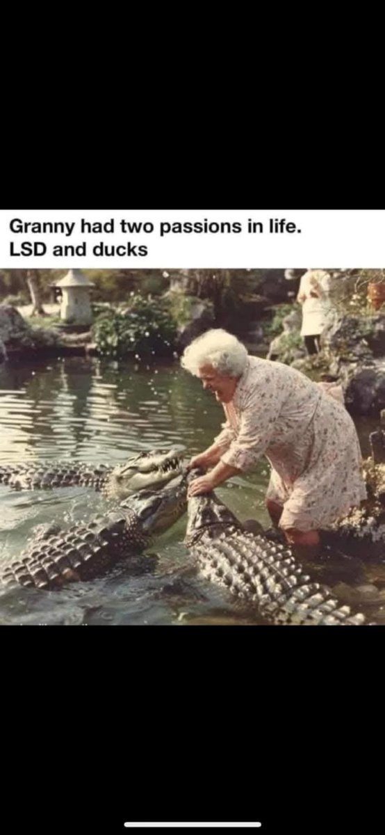 <a href="/LibertyCappy/">Declaration of Memes</a>