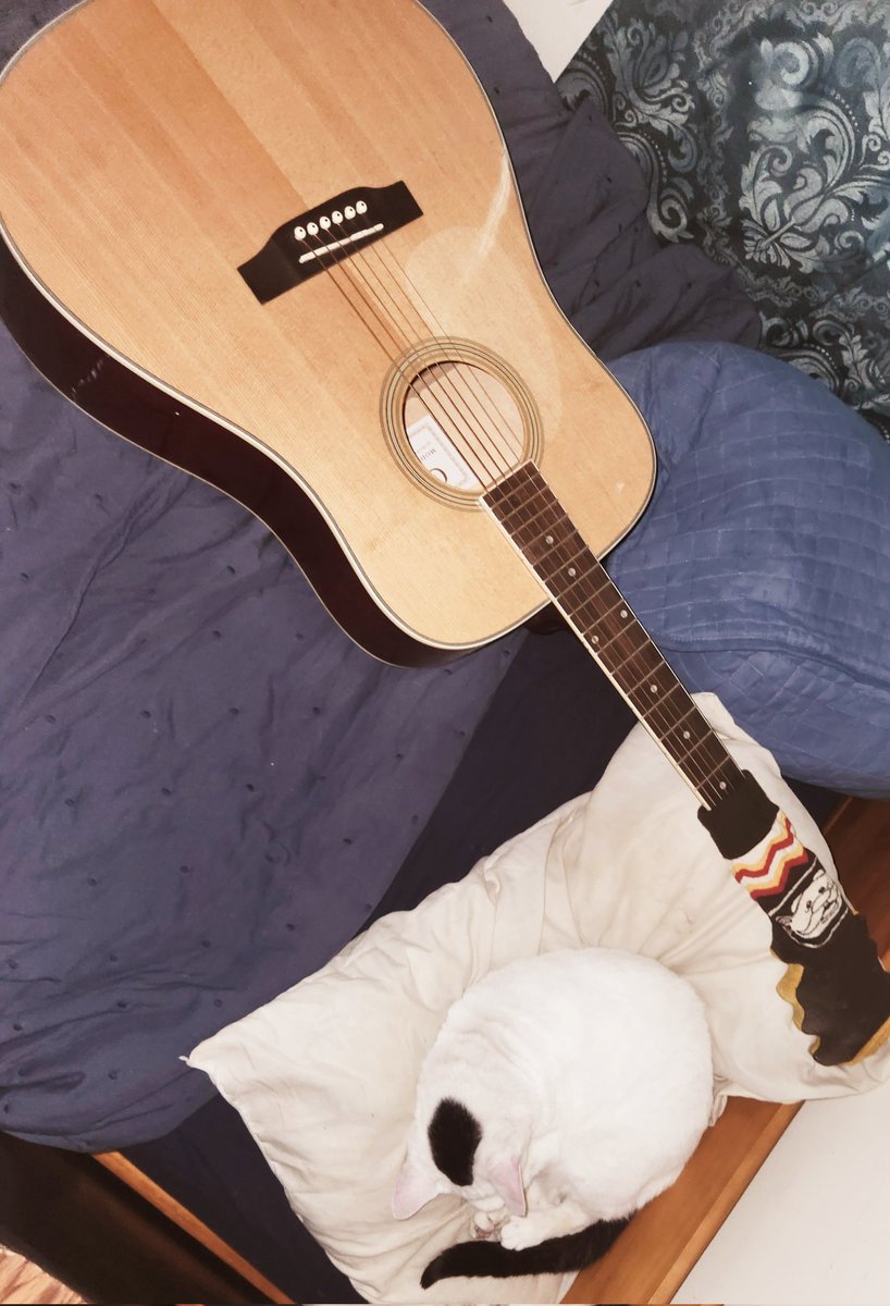 EL HOMIE tweet media