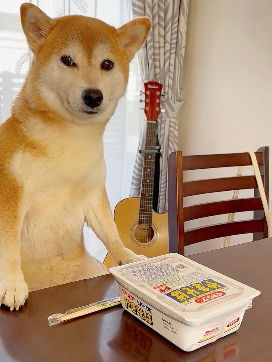 momonosekaiii's tweet photo. ダイエット中の飼い主を煽ってくる柴犬 https://t.co/G6YxwZSENx
