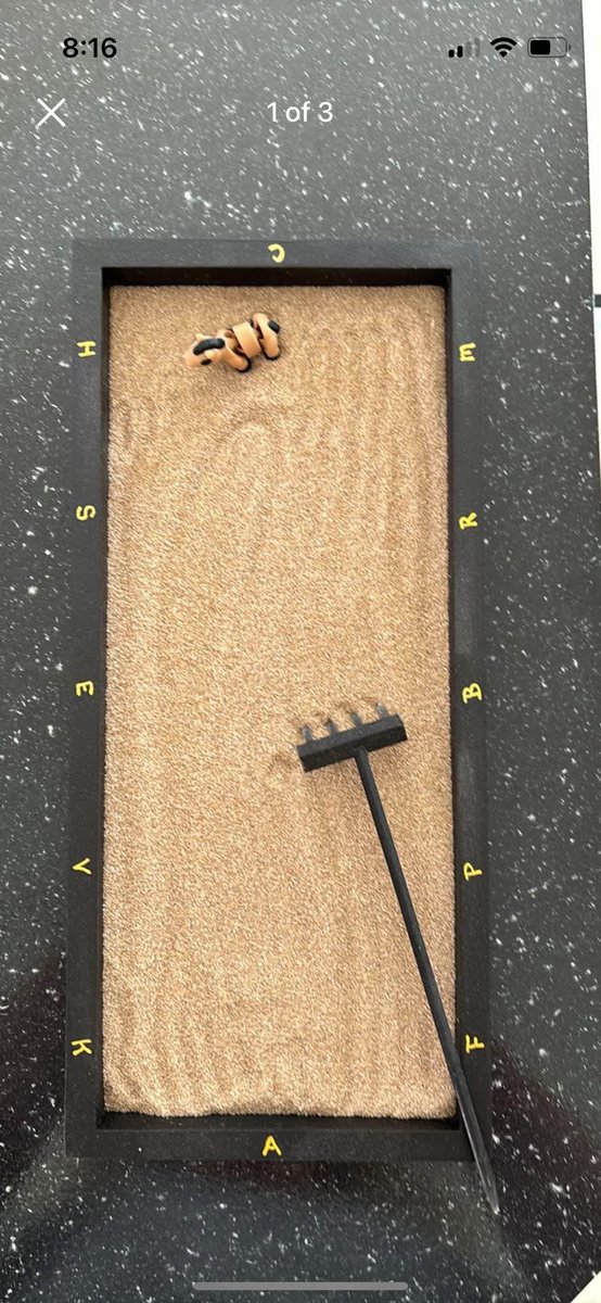 I need a zen garden in the shape of a dressage ring