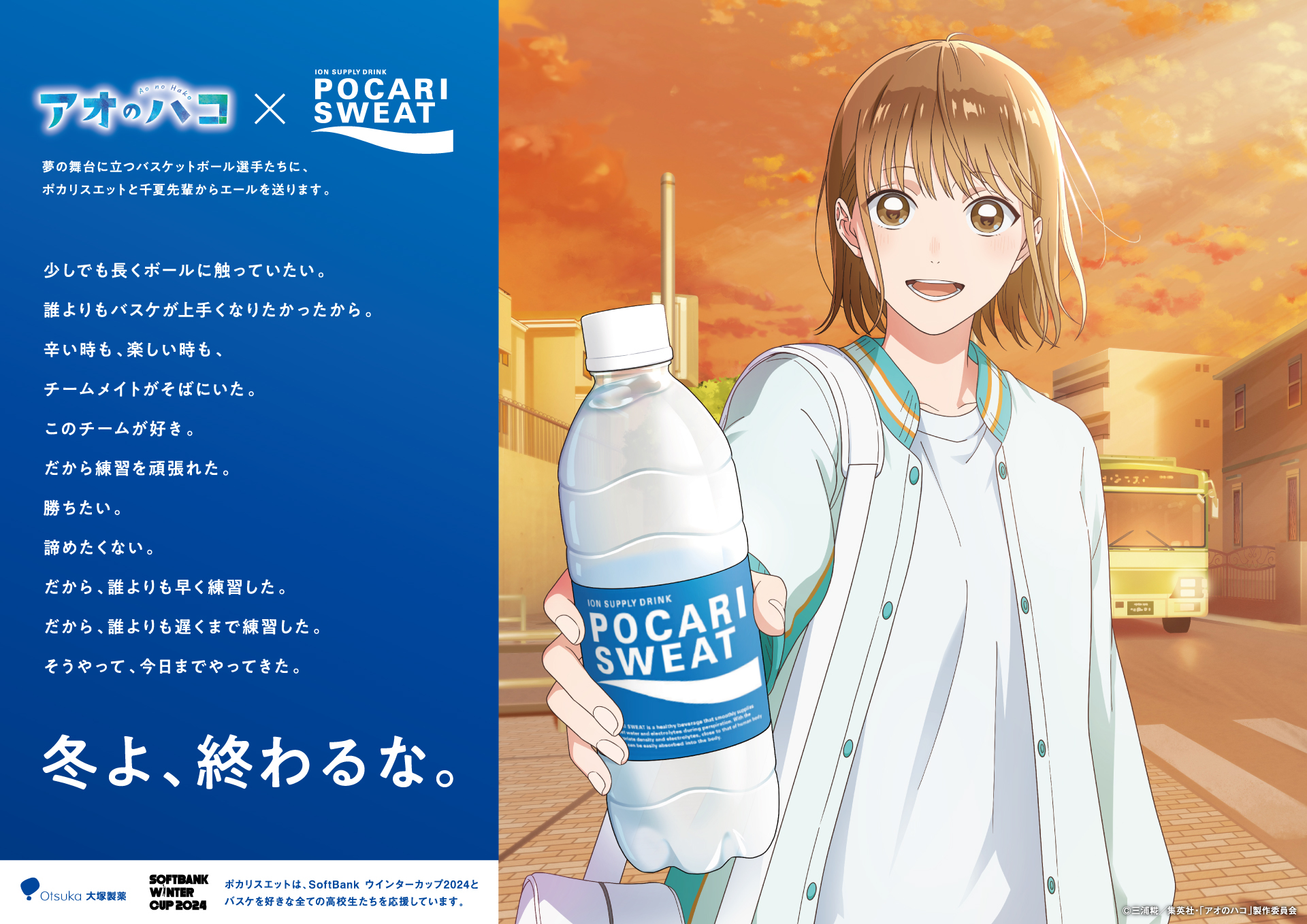 アオのハコ クリアファイル ポカリスエット アオのハコ×ポカリスエット クリアファイル - メルカリ