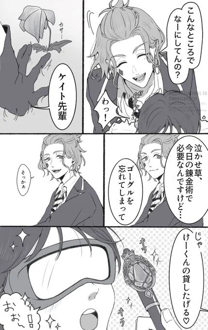 (3/3)⚠️薬草は捏造のものです 