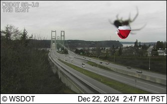 NWSSeattle's tweet photo. Rain continues to fall across Western Washington this afternoon for soggy roads like this one in the south Sound. Nice to see some holiday spirit from the resident arachnid. #wawx https://t.co/TZ3Y0eVZq3
