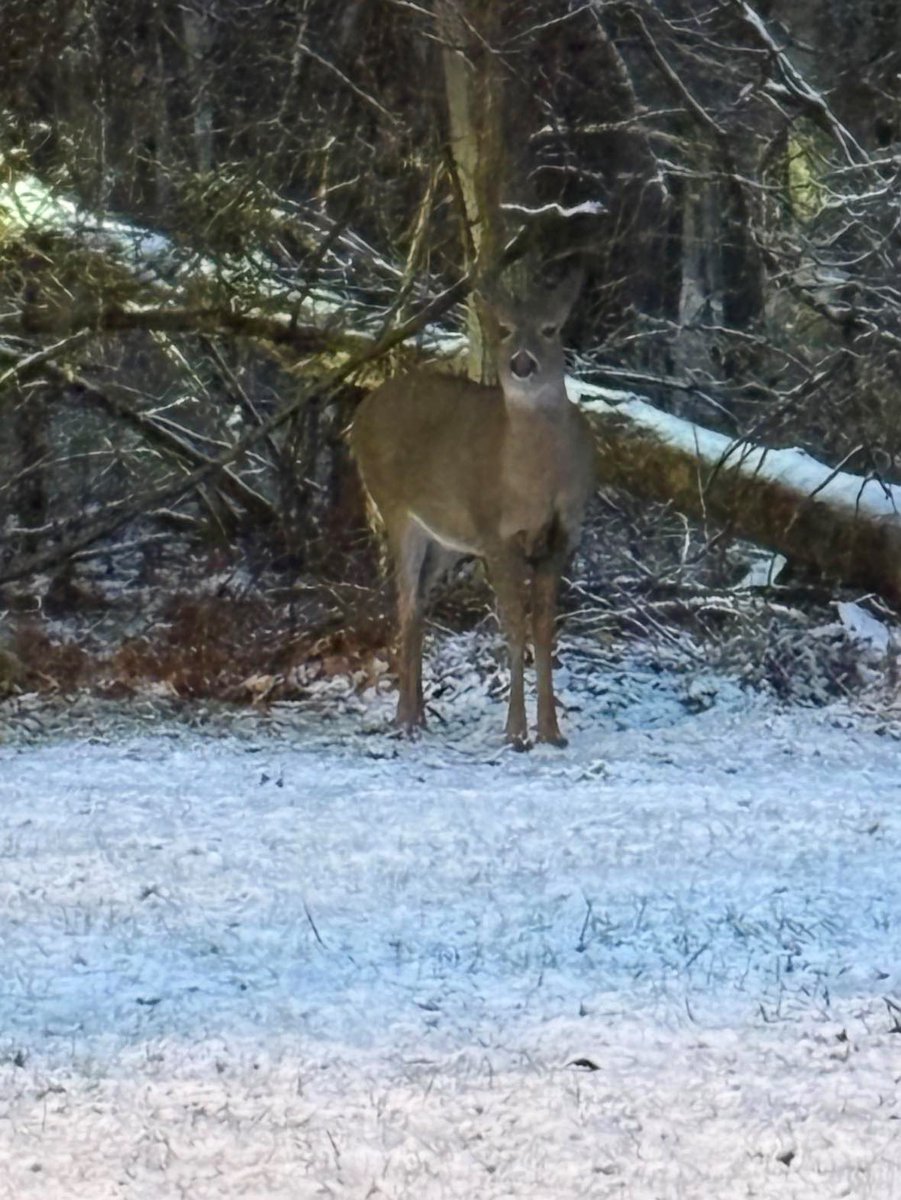 I met a new friend at work last week.
