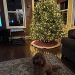 Photo by Otis, Willa, and Mom (@FreshOtis)