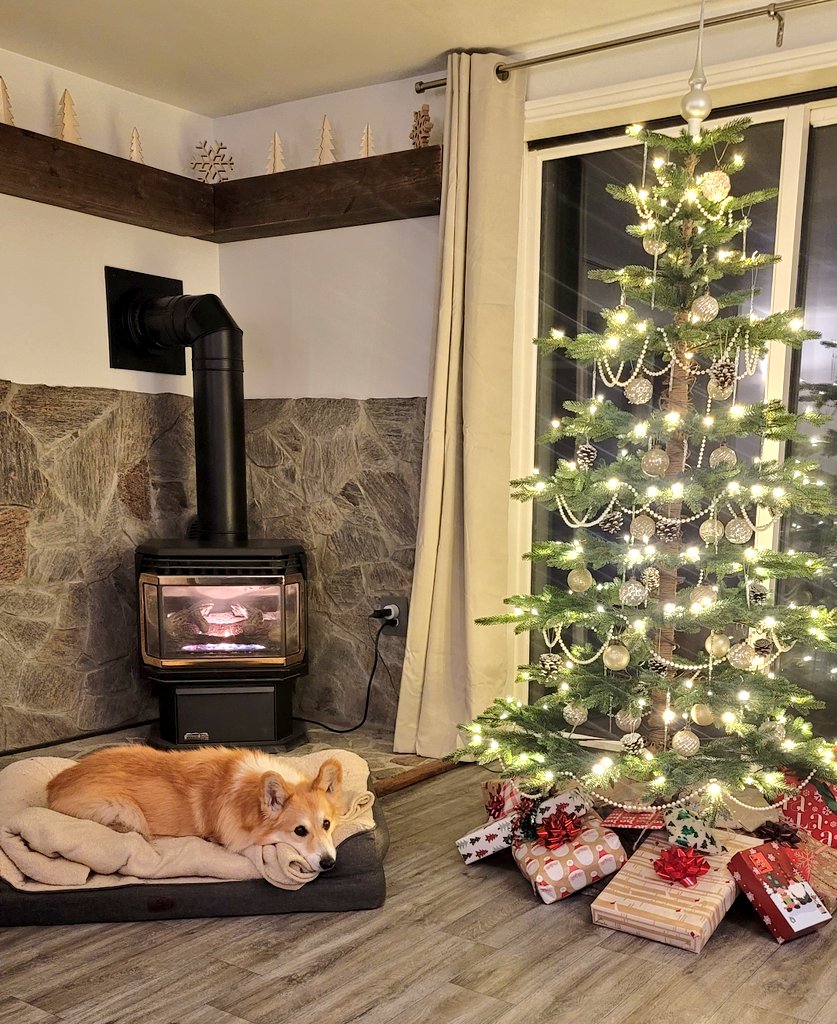 Fun-Fur-All tweet media