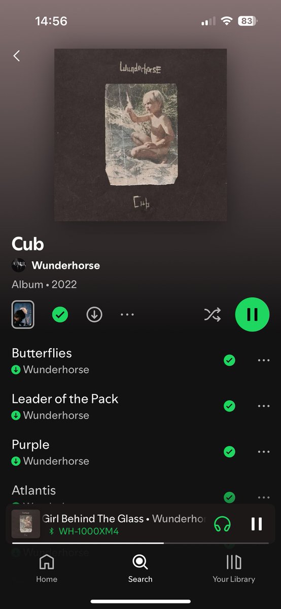 MatildasToast's tweet image. Im so late to this but wunderhorse kinda eat