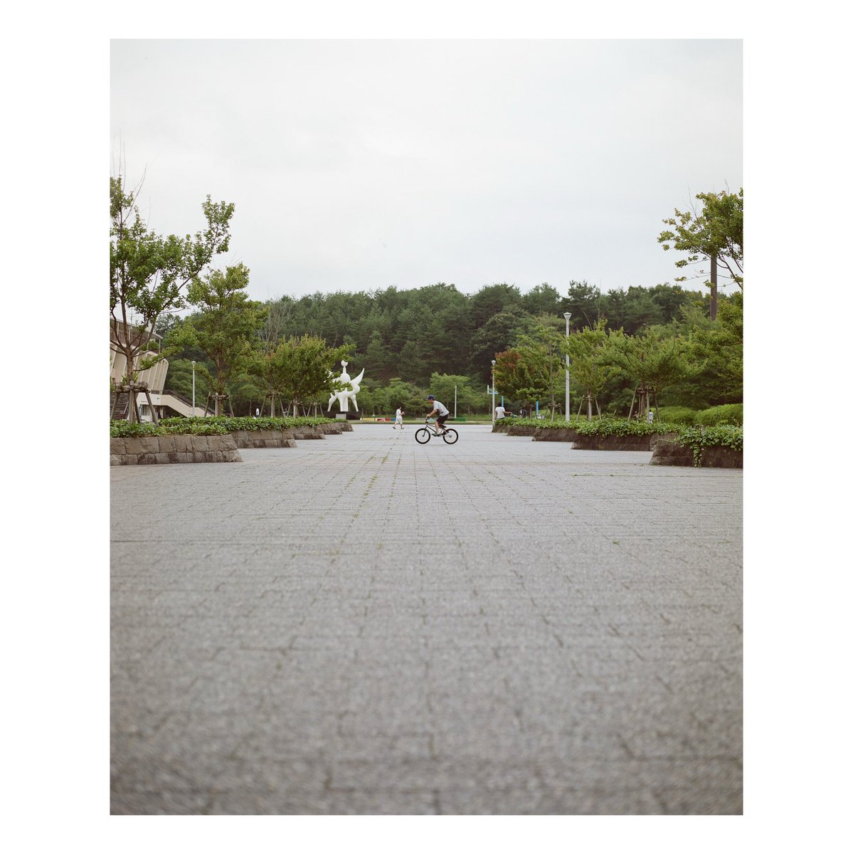 pleasure2004's tweet photo. #mamiyarz67
#kodak https://t.co/fUBvOdO7MF