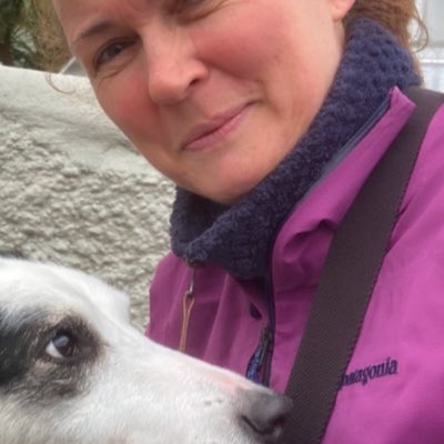 Clodagh Harrington tweet media