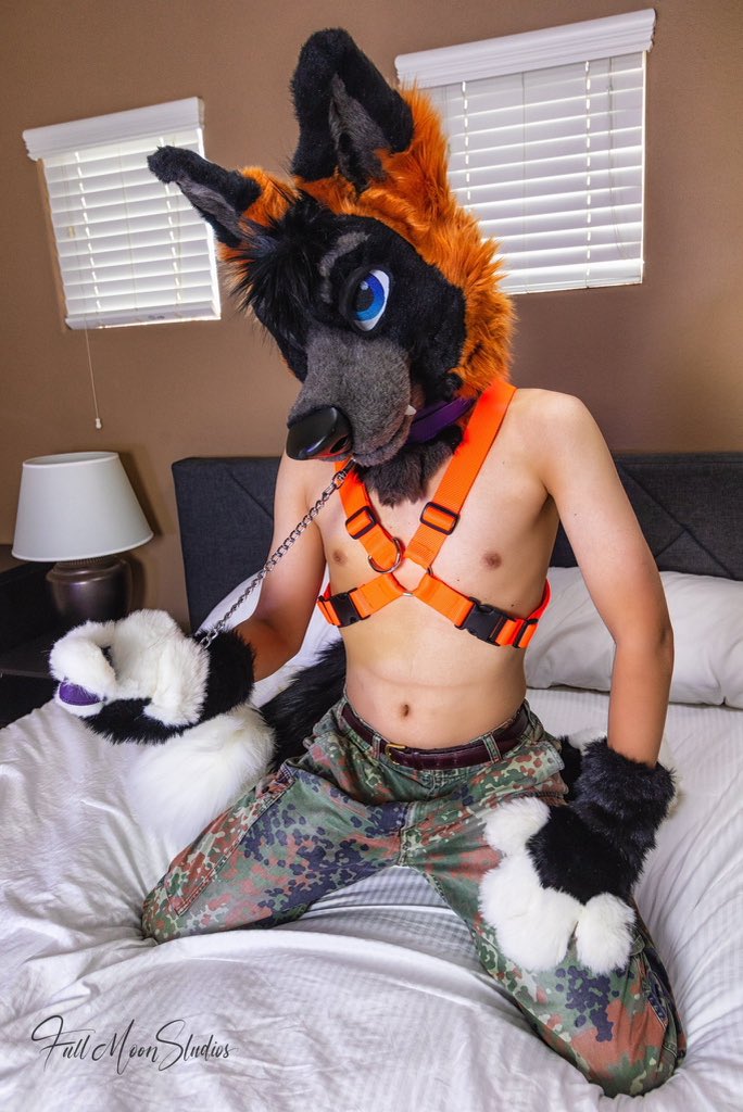 You can do both
🦊➡️<a href="/DeckerCrossFox/">Decker Fox</a>