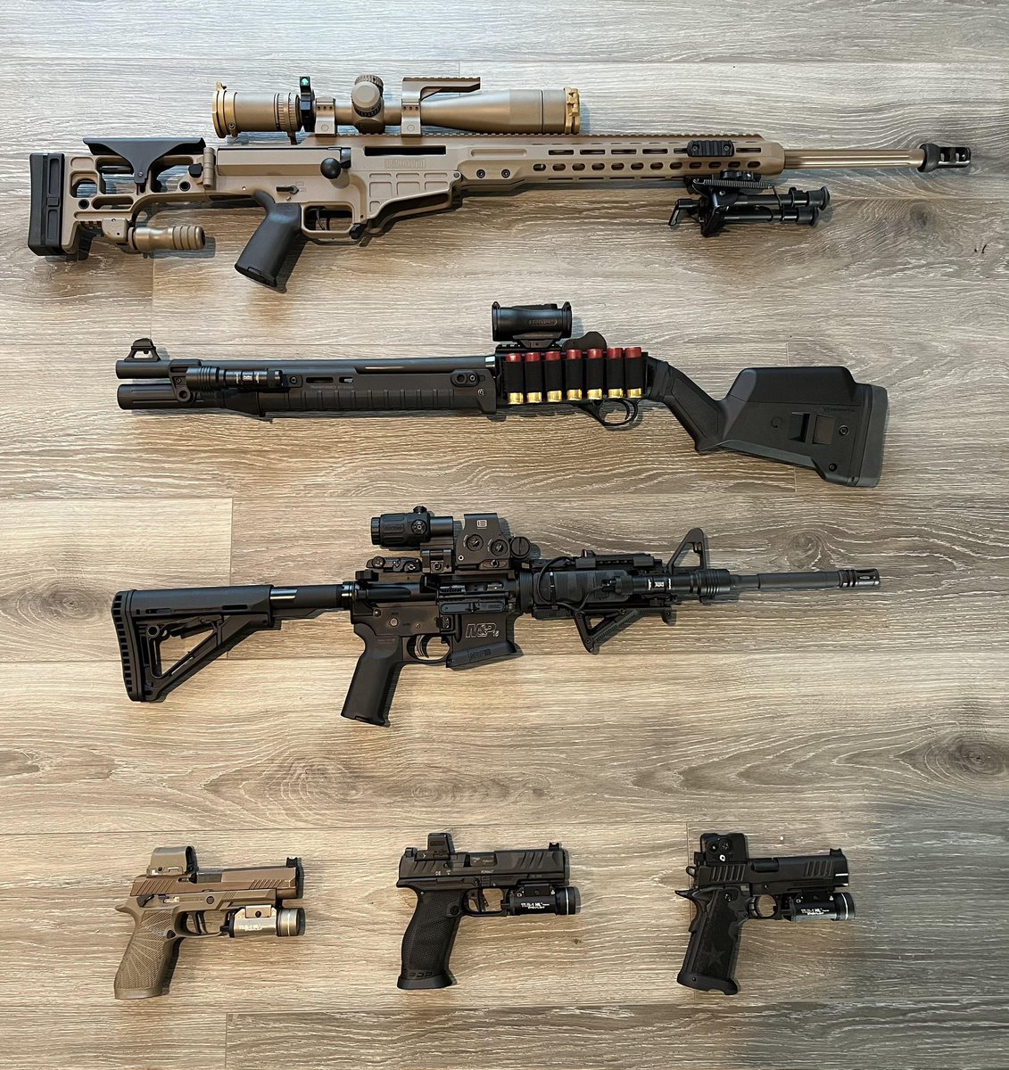 Wildlife Explorer tweet media