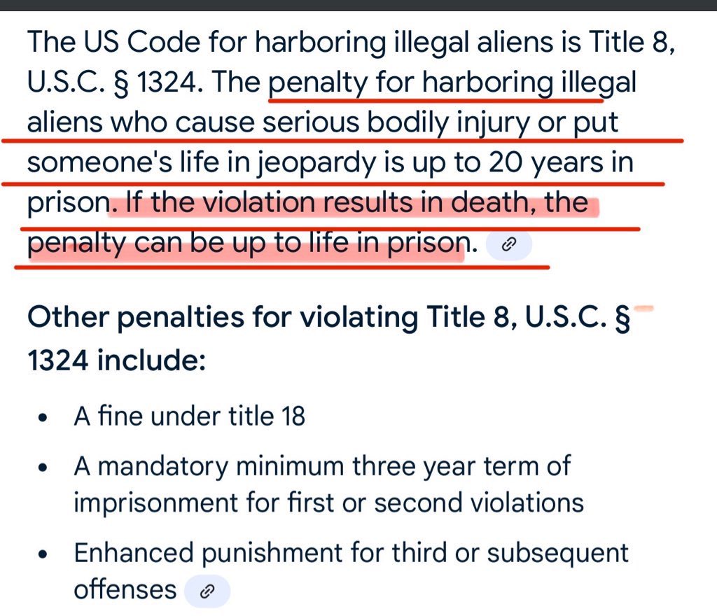 pamelakarnbach's tweet photo. @GovKathyHochul @NationalGuardNY @NYPDnews @MTA Gov Hochul, the law says you are eligible for life in prison for harboring an illegal alien who killed someone. The lady that was set in fire is tip of iceberg of murders in NY committed by illegal aliens. https://t.co/XSU5cWPsSJ