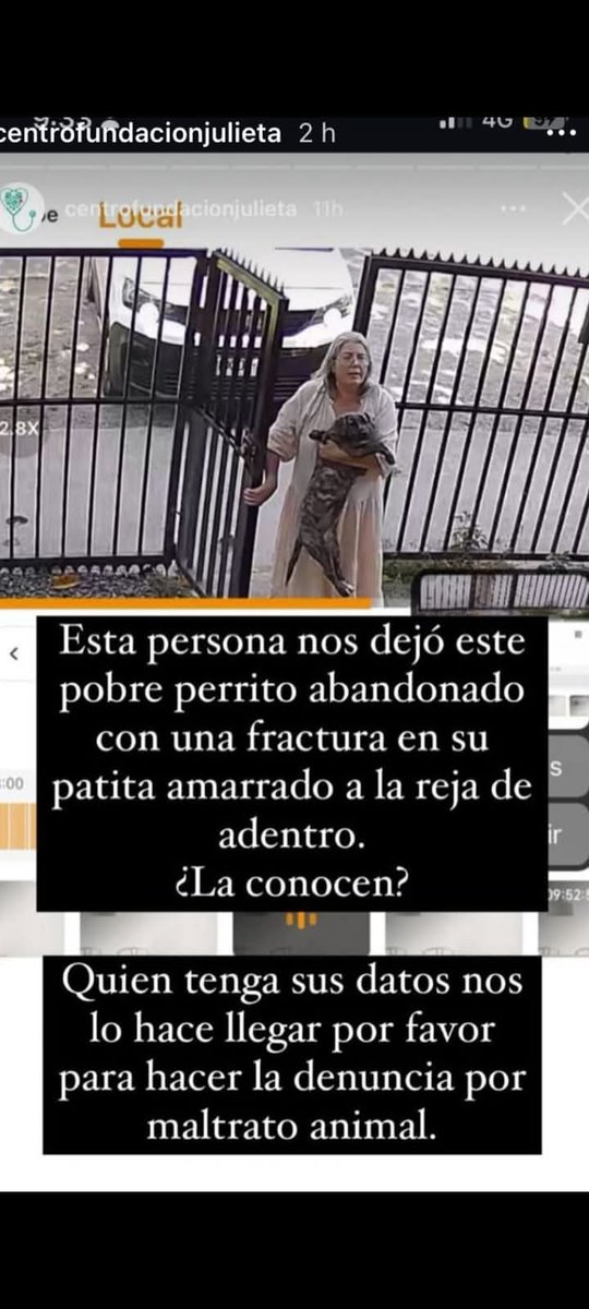 RockdrigoRoman's tweet photo. Hola, buenas tardes!! Por favor, si alguien conoce a esta mujer, dar aviso a Fundación Julieta, comuna Ñuñoa celular 977405471
ABANDONO A ESTA PERRITA QUE ESTA FRACTURADA, LA DEJO EN LA ENTRADA. SE HARÁ LA DENUNCIA CORRESPONDIENTE!! https://t.co/81dEc8qvVm
