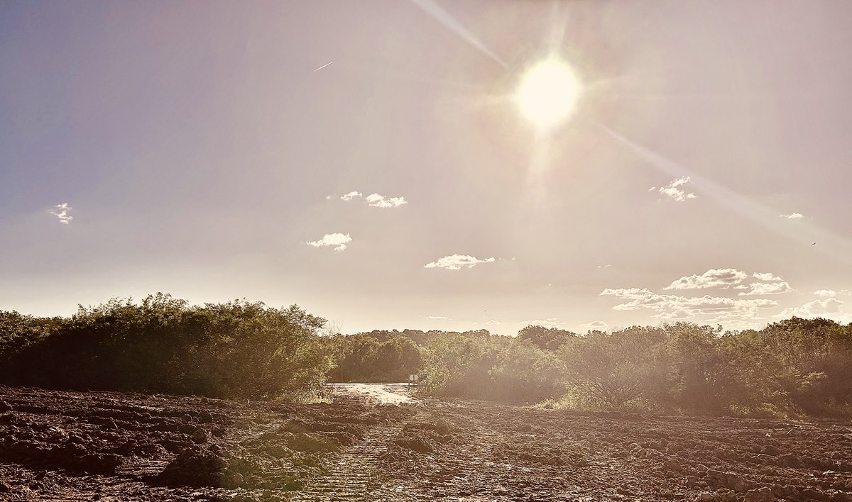 🚧 O futuro está cada vez mais próximo! 
Estamos a todo vapor! A terraplanagem do Ninho do Cardeal, a nova casa do Grêmio Atlético Farroupilha, está quase concluída. Esse é um passo importante para seguirmos firmes na construção do nosso tão sonhado estádio.
📸 <a href="/EFotojornalista/">Ederson Avila FotoJornalista</a>