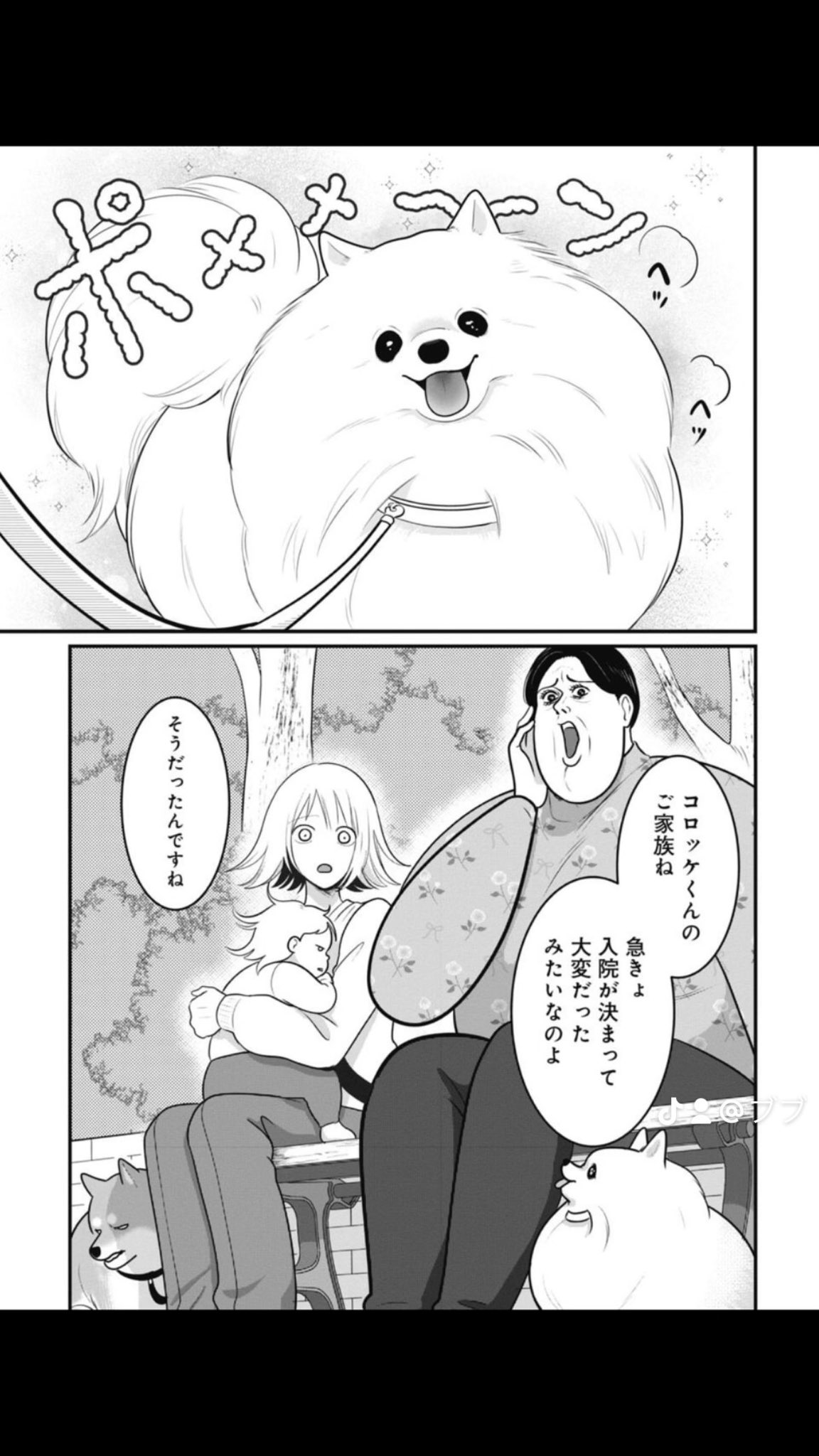 Amazon | ヤマサちくわ 詰合せ「No8」 | ヤマサちくわ | ちくわ 通販
