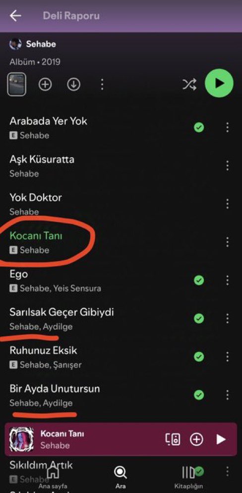 Aydilge'nin, şarkısına eşlik ettiği arkadaşın albümünden sözler:

"Saçların elimde kalabilir."
"Beni mutlu etmek has görevin."
"Yüzünde 'istiyorum' inadı var"

Parçanın adı "KOCANI TANI".

Anlamaya çalışıyoruz, bununla ilgili de açıklama yapacak mısın?