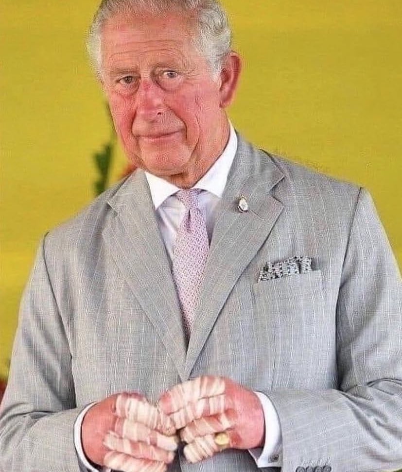 Stupid Dugong (@shaunhasabeard) on Twitter photo 