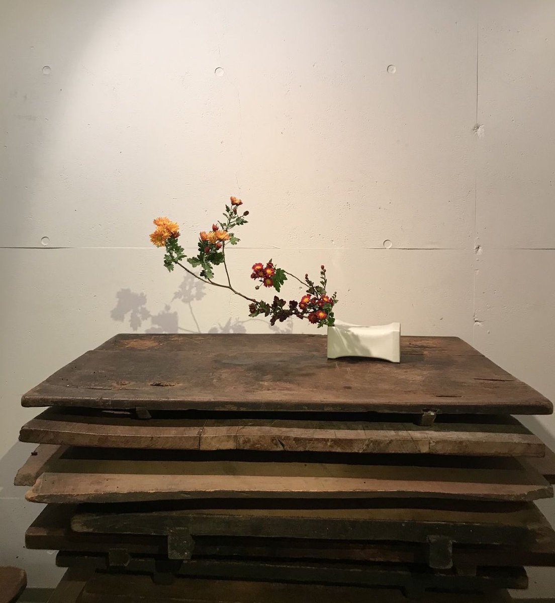 controdicting's tweet image. 