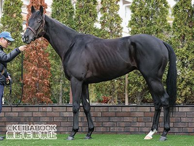 今週の1枚～「週刊競馬ブック」カラーPHOTOパドック】ホープフルSG1