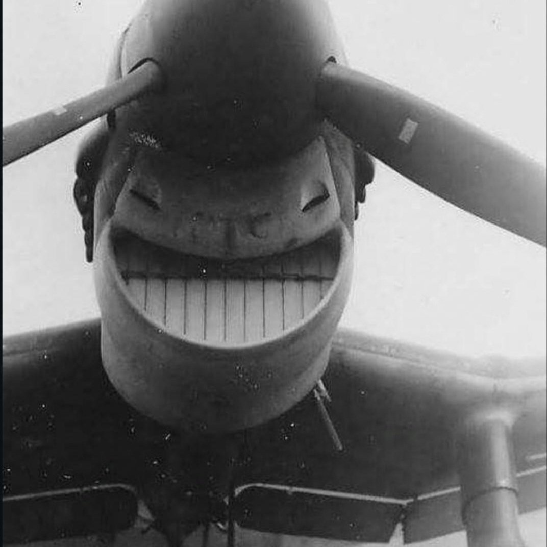 Thats one very Glücklich stuka 🇩🇪