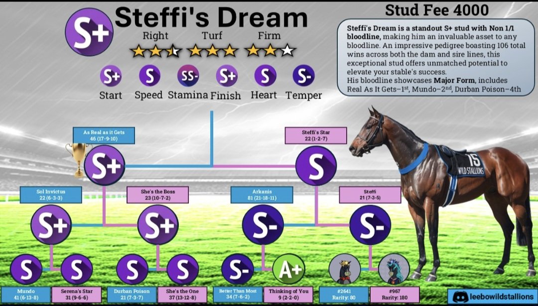 Leebeast81's tweet image. PFL breeding tomorrow 🔥 my 3 best studs listed 👌