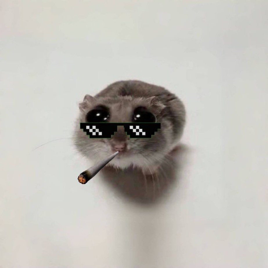 ForrestBump_'s tweet photo. Idc about $hammy data/metrics/comparisons

This ain’t utility 

Lil shit is just a vibe https://t.co/vJNKA15Ehc