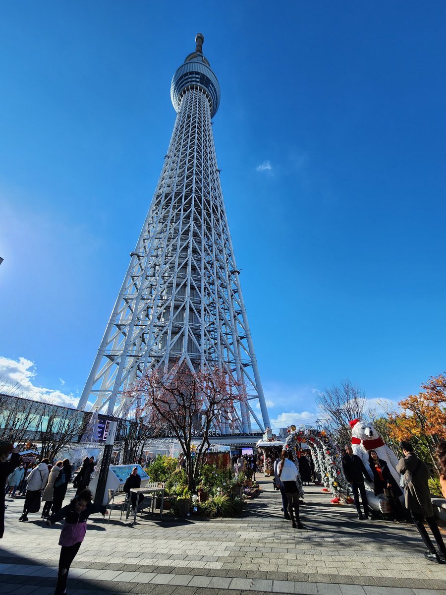 shinO_miyA_kyo's tweet photo. 357
#1day1photo https://t.co/0QAZdhLQcH