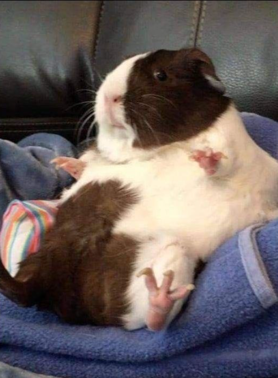 My mom said I'm good boy. But so far nobody has loved my picture