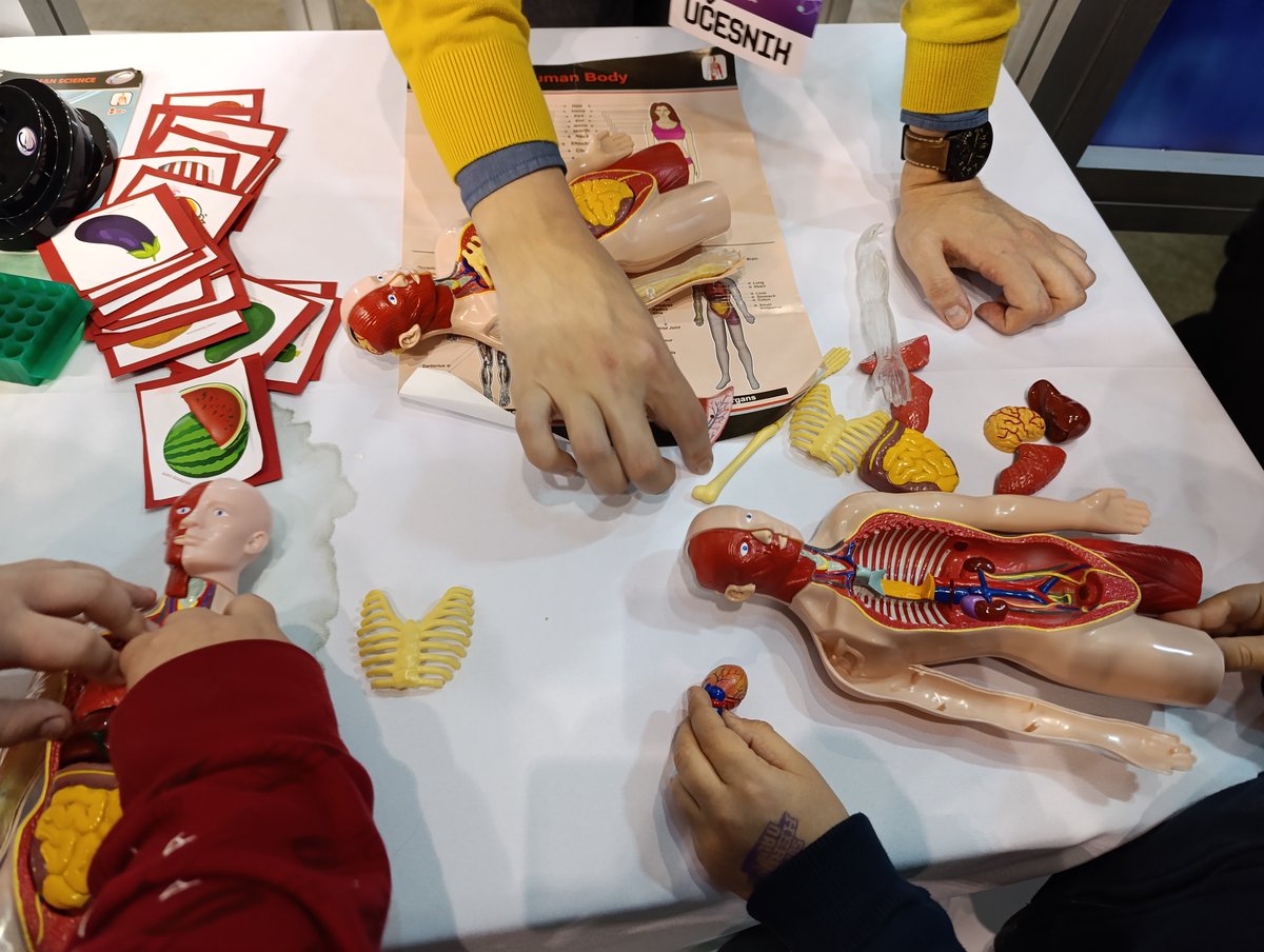 STEPUPIORS tweet media