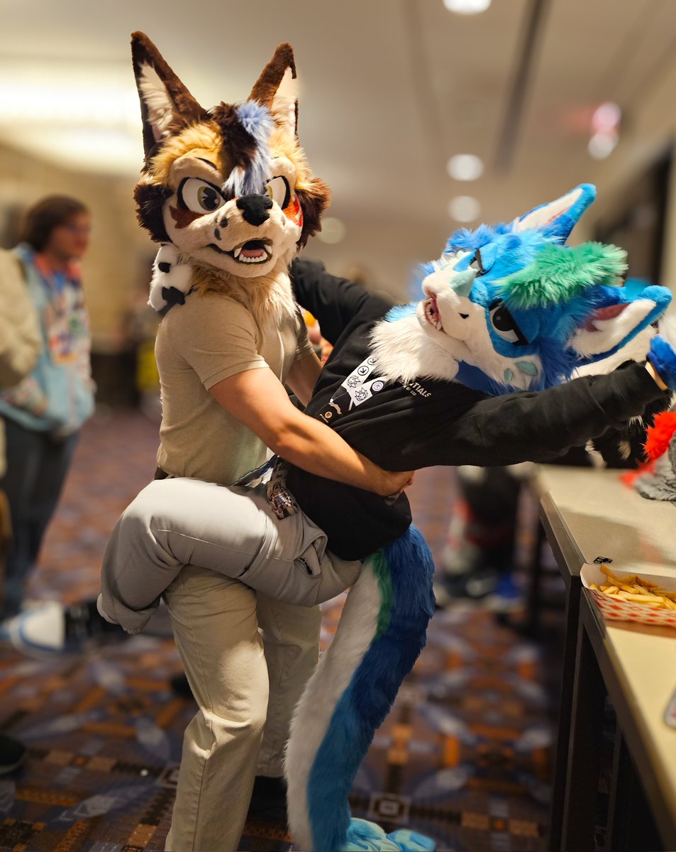 DoggedDapper's tweet photo. Wh-what're you doing suit bro?!? https://t.co/8mnIK5zNy8