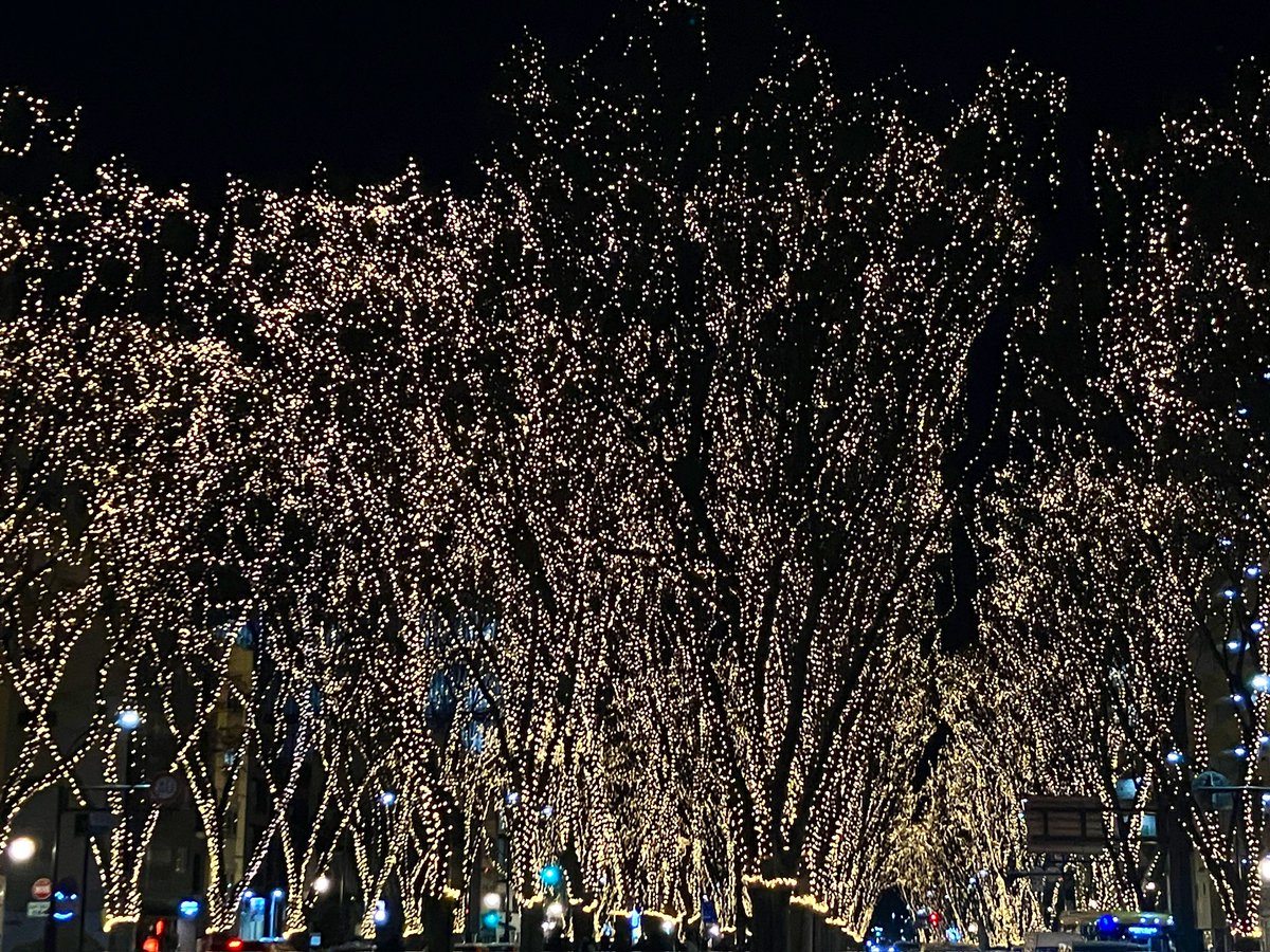 仙台から東京に戻りました。今年は残すところ明日と土曜の上野、日曜の浅草です。気が向いたらば、ぜひ。
