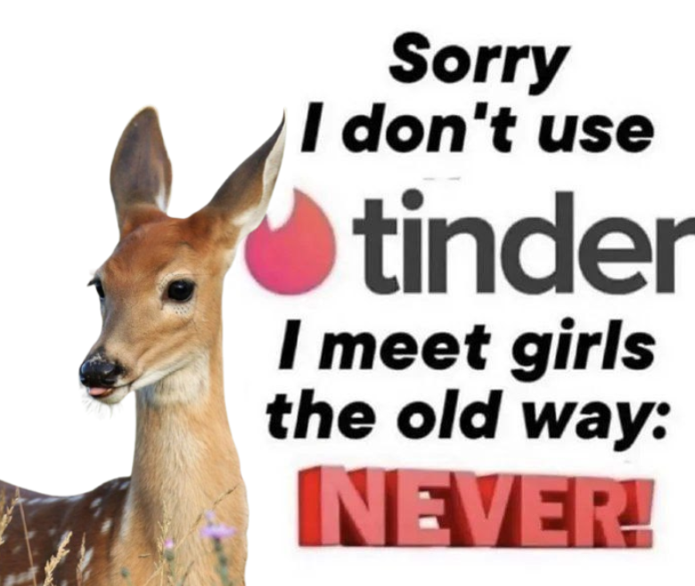 please 😞 tweet media