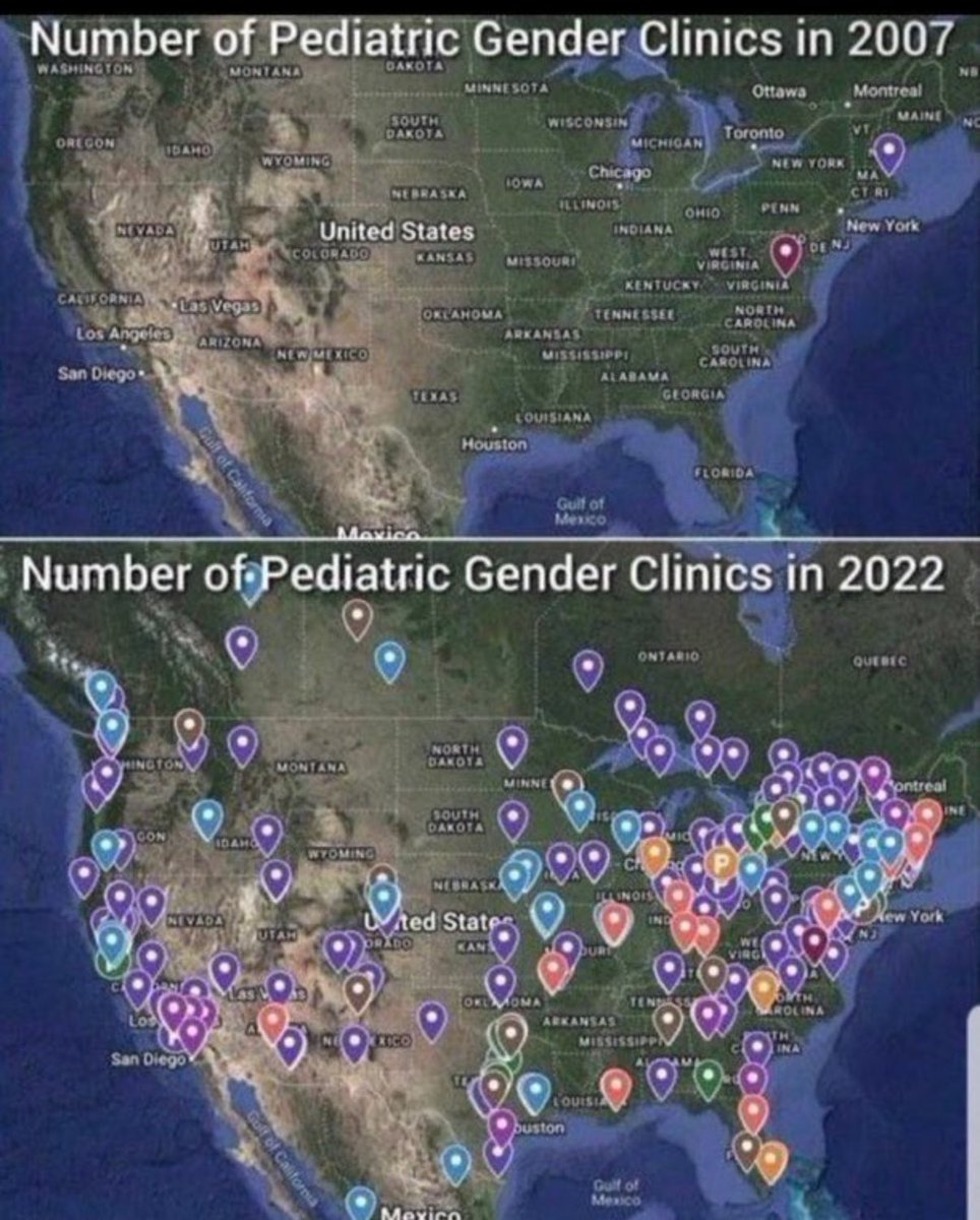 some dumb ape tweet media