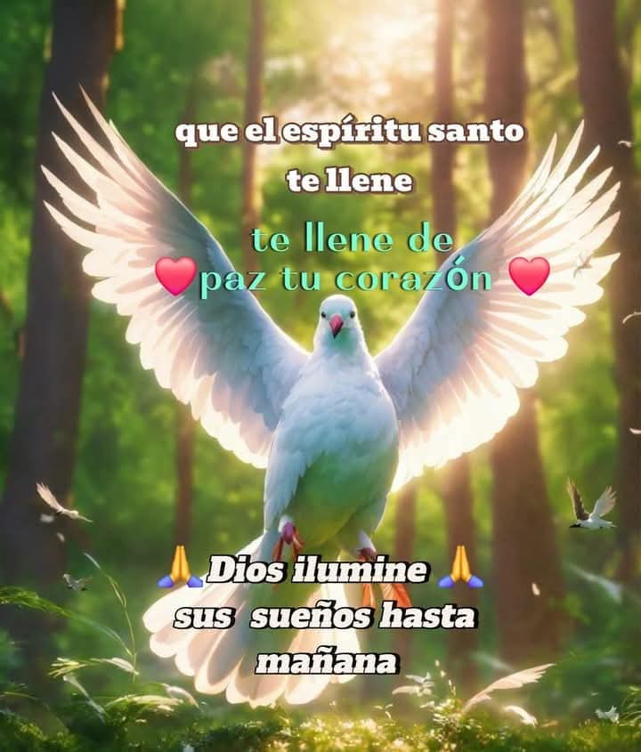 Mensajesluz🕉 (@mensajesluz) on Twitter photo <a href="/LMHH/">Loren M Hernandez H.</a> <a href="/EfrainBrreraAlv/">Efraín Barrera A.</a> <a href="/AELHUZ/">ALMA, EL PODER DE LA ORACION</a> <a href="/ArlindoFerreir4/">Arlindo Ferreira</a> <a href="/efraguza/">EFRAIN GUTIERREZ Z.</a> <a href="/Edward733/">ஜ۩ღEdward Simღ۩ஜ 심상갑</a> <a href="/RosariodelCdeV1/">Rosario del C de Vasquez</a> <a href="/hada_protectora/">♥♥Hada Protectora♥♥</a> <a href="/ss_gladys/">Gladys Nohemi</a> <a href="/esedonluis64/">Luis Peña</a> <a href="/d_mhg/">Maria H. G.</a> <a href="/steligarcia/">Sonia Garcia</a> <a href="/MAGLORIAVILLEG1/">MA.GLORIA VILLEGAS DURAN</a> <a href="/MIBramajo/">Maria Ines Bramajo, Feliz 2023...❤️🇦🇷💙</a> <a href="/PONCHOAGOPLA/">Poncho Gómez-Plaza</a> <a href="/alex1869126097/">alex18_AMT</a> <a href="/EmelindaPicadoG/">Emelinda Picado Godí</a> <a href="/LopezyValiente/">Toñi Valiente. ® ™</a> <a href="/buguitabuguita/">Elizabeth Ferraro</a> <a href="/lepetitportcord/">le petit port cordon</a> <a href="/bernardo_98364/">Sawamura en la red</a> <a href="/sanjay29599124/">Sanjay Tiwari Azad</a> <a href="/norita3329/">Nora....</a> <a href="/latiatt/">María Teresita</a> <a href="/JLContrerasArt/">Jorge Contreras Art</a> <a href="/ahinamendez/">ahinamendez DM 🚫</a> <a href="/NievesAsensi/">Nieves Perez asensi</a> <a href="/Gladis_Ag/">Gla!</a> <a href="/pgnora/">Nora Piña Ghazzaoui</a> <a href="/hildamarcano39/">hillda marcano</a> <a href="/d_mhg2014/">María H. G.</a> <a href="/CitraroTorres/">Mariella Torres Citraro</a> <a href="/saulastam/">Sastam_25</a> <a href="/XimPete/">Familia Olguin Pobl</a> <a href="/Nelidarojasb3/">Nelidarojasb</a> <a href="/PulidoSolange/">Ningún Lugar está Lejos. 🇻🇪</a> <a href="/anysogo/">ANA MARÍA SOGO</a> <a href="/OmairaCorreo/">Omaira De Cobo</a> <a href="/Anauj_maces/">Caro Macias</a> <a href="/kitty_sanrio1/">Lic Laura Perez</a> <a href="/mamaruza78/">Mamaruza</a> <a href="/MaryGom31034524/">Mary Gomez</a> <a href="/igsaGsanchez/">igsa sanchez</a> <a href="/GomezLuisE/">Luis Enrique Gómez Osorio</a> <a href="/FermnEstevez2/">Fermín. Estevez.</a> <a href="/AGMRedMylene/">🍒🥀🦋simply_Red🦋🥀🍒</a> <a href="/CarlosA98725897/">Carlos Aguilar</a> <a href="/FERMN01924143/">FERMÍN</a> Feliz Noche... <a href="/LMHH/">Loren M Hernandez H.</a> <a href="/EfrainBrreraAlv/">Efraín Barrera A.</a> <a href="/AELHUZ/">ALMA, EL PODER DE LA ORACION</a> <a href="/ArlindoFerreir4/">Arlindo Ferreira</a> <a href="/efraguza/">EFRAIN GUTIERREZ Z.</a> <a href="/Edward733/">ஜ۩ღEdward Simღ۩ஜ 심상갑</a> <a href="/RosariodelCdeV1/">Rosario del C de Vasquez</a> <a href="/hada_protectora/">♥♥Hada Protectora♥♥</a> <a href="/ss_gladys/">Gladys Nohemi</a> <a href="/esedonluis64/">Luis Peña</a> <a href="/d_mhg/">Maria H. G.</a> <a href="/steligarcia/">Sonia Garcia</a> <a href="/MAGLORIAVILLEG1/">MA.GLORIA VILLEGAS DURAN</a> <a href="/MIBramajo/">Maria Ines Bramajo, Feliz 2023...❤️🇦🇷💙</a> <a href="/PONCHOAGOPLA/">Poncho Gómez-Plaza</a> <a href="/alex1869126097/">alex18_AMT</a> <a href="/EmelindaPicadoG/">Emelinda Picado Godí</a> <a href="/LopezyValiente/">Toñi Valiente. ® ™</a> <a href="/buguitabuguita/">Elizabeth Ferraro</a> <a href="/lepetitportcord/">le petit port cordon</a> <a href="/bernardo_98364/">Sawamura en la red</a> <a href="/sanjay29599124/">Sanjay Tiwari Azad</a> <a href="/norita3329/">Nora....</a> <a href="/latiatt/">María Teresita</a> <a href="/JLContrerasArt/">Jorge Contreras Art</a> <a href="/ahinamendez/">ahinamendez DM 🚫</a> <a href="/NievesAsensi/">Nieves Perez asensi</a> <a href="/Gladis_Ag/">Gla!</a> <a href="/pgnora/">Nora Piña Ghazzaoui</a> <a href="/hildamarcano39/">hillda marcano</a> <a href="/d_mhg2014/">María H. G.</a> <a href="/CitraroTorres/">Mariella Torres Citraro</a> <a href="/saulastam/">Sastam_25</a> <a href="/XimPete/">Familia Olguin Pobl</a> <a href="/Nelidarojasb3/">Nelidarojasb</a> <a href="/PulidoSolange/">Ningún Lugar está Lejos. 🇻🇪</a> <a href="/anysogo/">ANA MARÍA SOGO</a> <a href="/OmairaCorreo/">Omaira De Cobo</a> <a href="/Anauj_maces/">Caro Macias</a> <a href="/kitty_sanrio1/">Lic Laura Perez</a> <a href="/mamaruza78/">Mamaruza</a> <a href="/MaryGom31034524/">Mary Gomez</a> <a href="/igsaGsanchez/">igsa sanchez</a> <a href="/GomezLuisE/">Luis Enrique Gómez Osorio</a> <a href="/FermnEstevez2/">Fermín. Estevez.</a> <a href="/AGMRedMylene/">🍒🥀🦋simply_Red🦋🥀🍒</a> <a href="/CarlosA98725897/">Carlos Aguilar</a> <a href="/FERMN01924143/">FERMÍN</a> Feliz Noche...