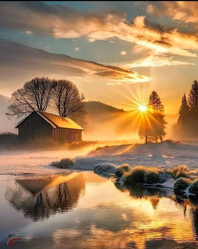 PictureShed (@pictureshed) on Twitter photo 