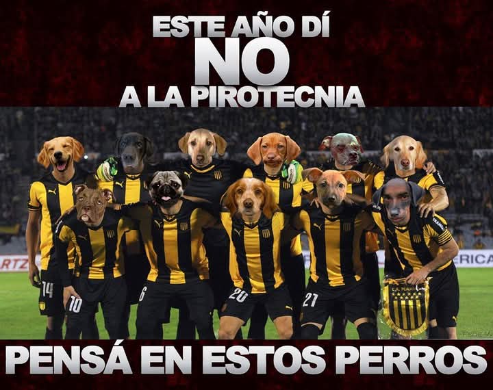 Prostaglan78609's tweet image. Piensen en ellos.