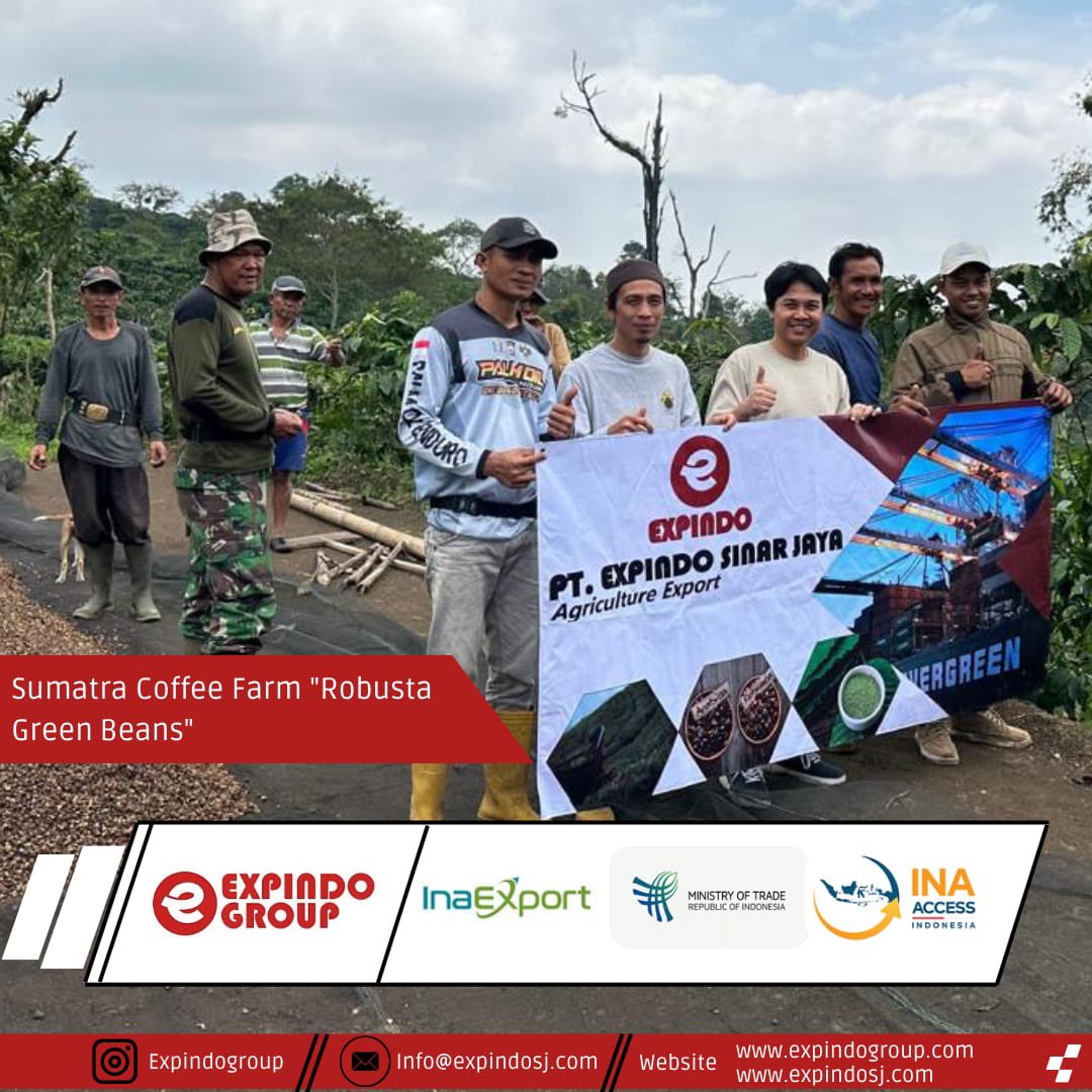 expindogroup's tweet photo. From the lush coffee farms of Lampung, Sumatra, Expindo collaborates with local farmers to bring the finest beans to the world. Together, we support sustainable practices and empower communities. 🌱☕ #ExpindoGroup #IndonesianCoffee #Sustainability #coffee #coffeesuppliers https://t.co/Rd3F9CtmvE