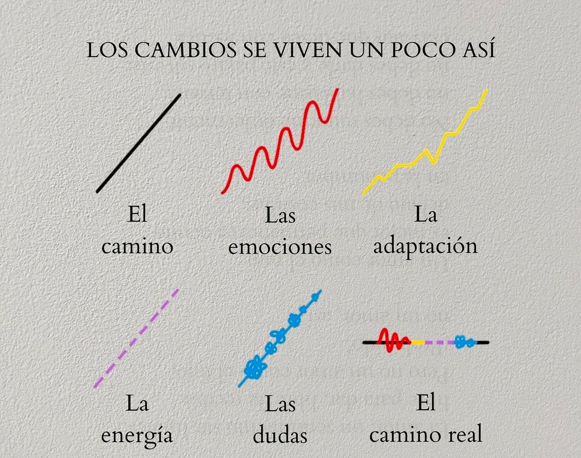 FraseSimple tweet picture