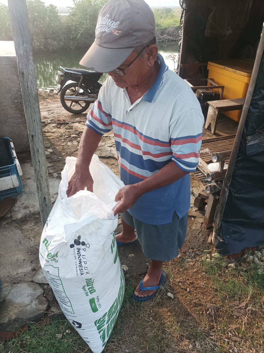 miss_iffa's tweet photo. Pemanfaatan Bantuan Pemerintah berupa pupuk non subsidi kepada Pokdakan Gumuk Mas, desa karanggondang, Mlonggo sebanyak 500 kg pupuk urea non subsidi.

#luhlapor
#GiatLuhkanSatminkalTEGAL
@bppsdm_kp 
@PKBLU_bp3tegal https://t.co/vassmDTU4w